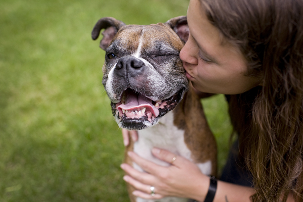 © Karin Newstrom | Daily Dog Tag | Boxer-and-bestie