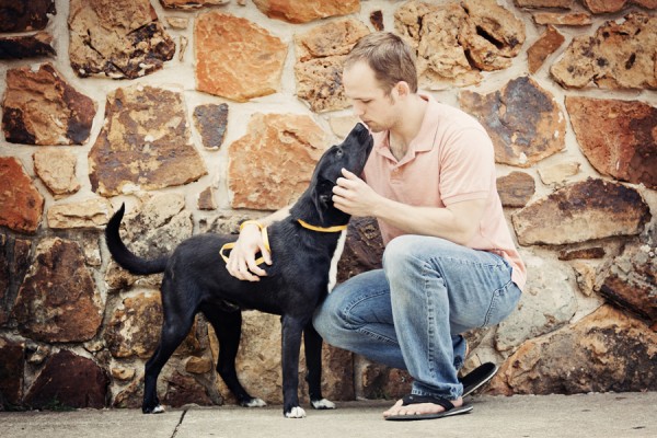 © Photos by Keshia | Daily Dog Tag |friendly male dog up for adoption, Bethany Animal Welfare