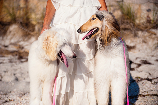 © Emilee Fuss Photography | Daily Dog Tag | girls-in-white, modern-dog-photography