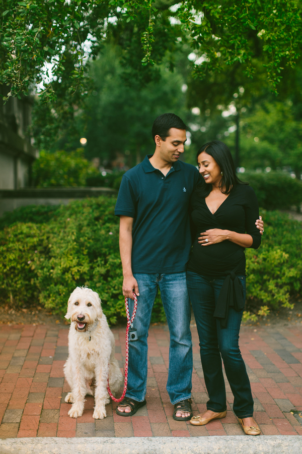 Chapel Hill photography, Labradoodle