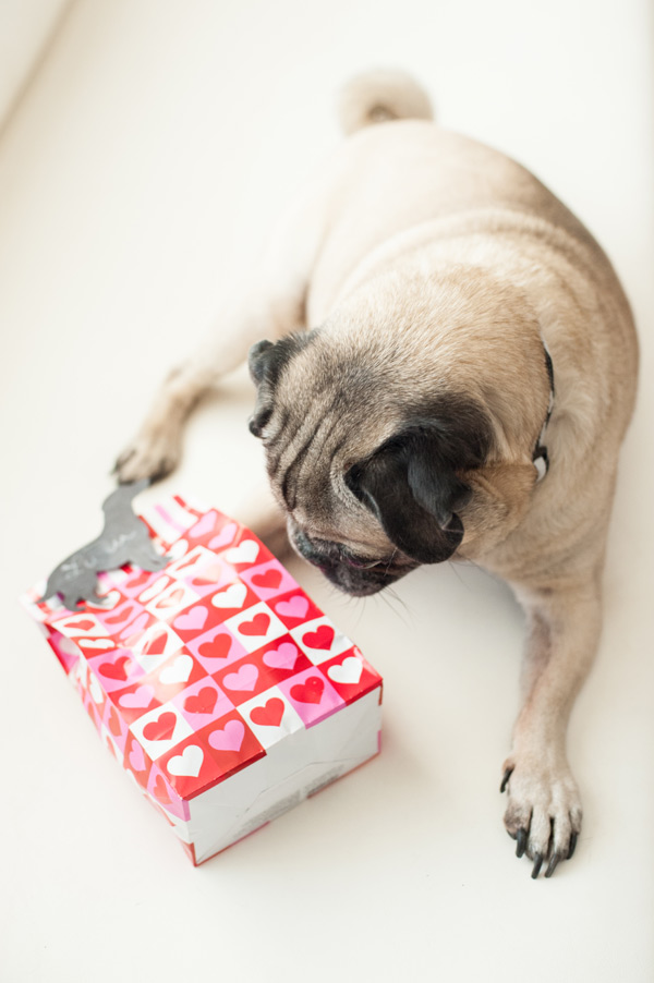 DIY-Vegan-Dog-Treats-Valentines-Day-Presents, Bicoastal-Lifestyle-Photographer