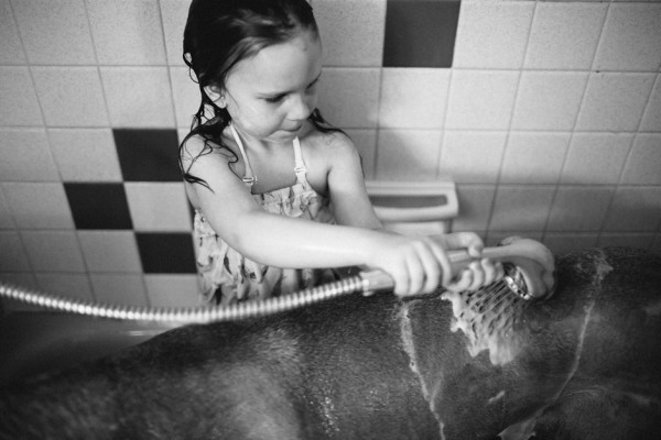lifestyle-dog-photography, Great-Dane-in-bath