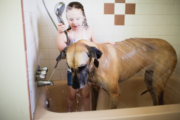 capturing-memories, giant-dog-in-bath
