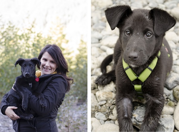 Boxer-Labrador-mix-and-photographer, girl-and-her-dog