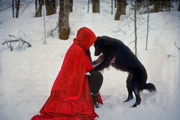 © RBarrett Photography, Red-Riding-Hood-wolf