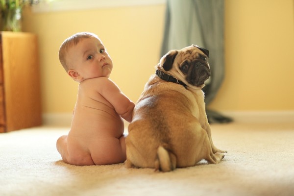 cute baby and Pug looking behind them, ©Megan Durst Photography, funny pug picture, 