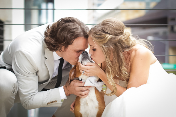 © Chasity Whittington --Savvy Images, newlyweds-and-Beagle