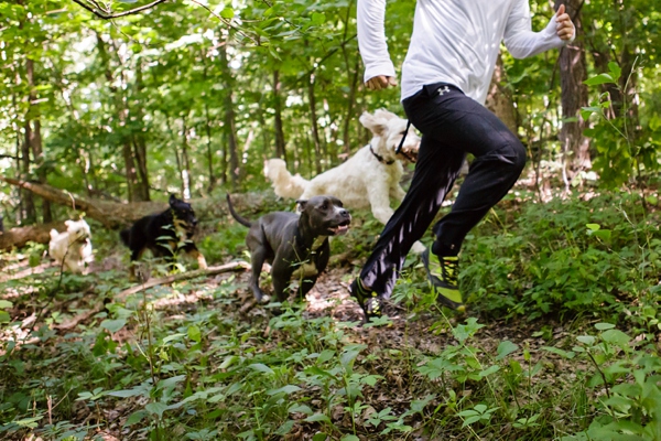 © Jen Madigan Photography, BoundingHound