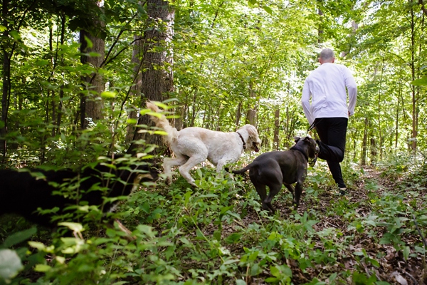 © Jen Madigan Photography, Runner-and-dogs-trail-run
