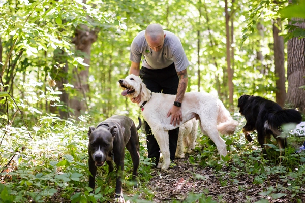 © Jen Madigan Photography, Exercise-Program-for-dogs