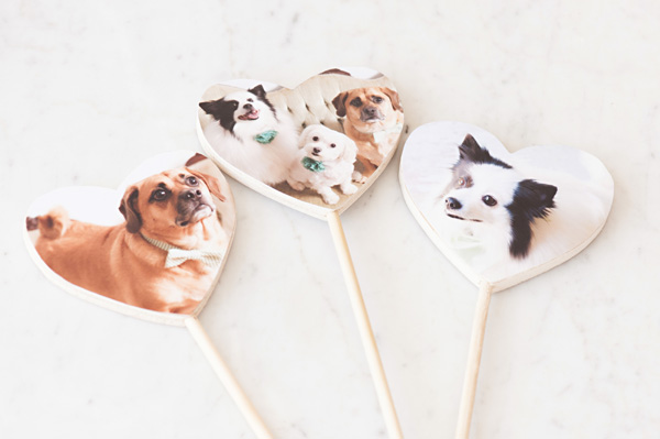 © Alice G Patterson Photography, | Daily Dog Tag | DIY Milkbone Valentines