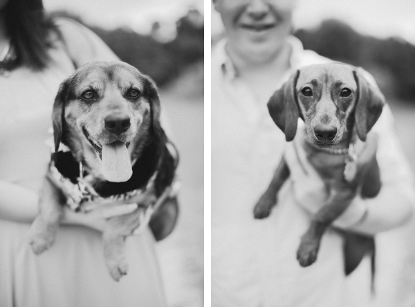 © Caroline Lima Photography, | Daily Dog Tag | Rescue Pup and Doxie