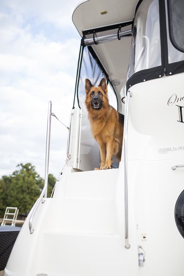 © McGraw Photography | Daily Dog Tag | GSD on boat