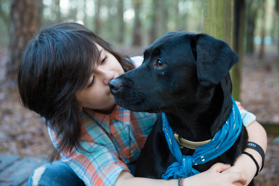 © Fotos by Faren | Daily Dog Tag | Black Labrador,  Senior Portraits with Pets