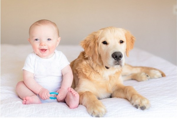 © Melissa Arlena Pet Photography | Daily Dog Tag | Lifestyle-Pet-Photography, boy and his-dog