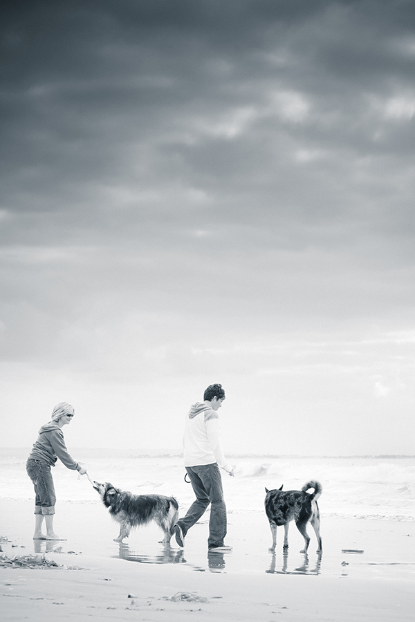 © Westway Studio | Daily Dog Tag | family-portrait-on-beach