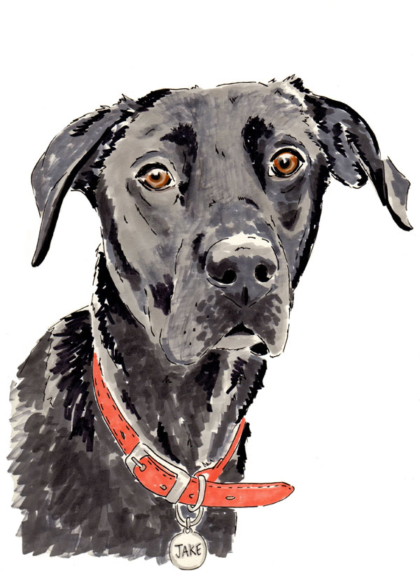 © Studio Legohead | Daily Dog Tag | Custom-canine-portraits