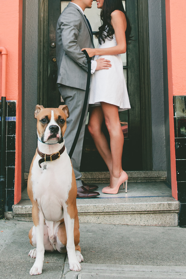 © Vivian Sachs Photography | Daily Dog Tag | Dog-included-in-engagement-photos