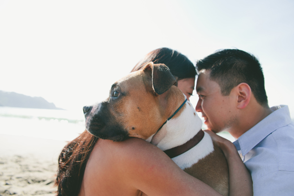 © Vivian Sachs Photography | Daily Dog Tag |  engaged-couple-and-dog-at-beach