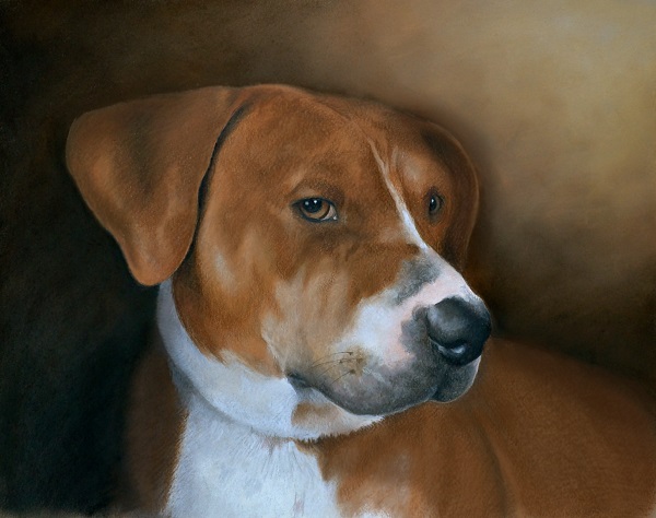© Imagine Art by Jenna Wilkes | Daily Dog Tag | custom-dog-portraits