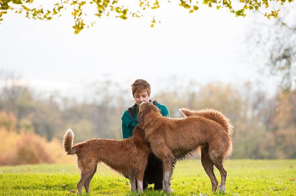 © Jenny Karlsson Photography  | Daily Dog Tag | touching photo of woman and 2 dogs