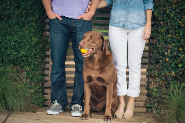 © Anna Smith Photography | Daily Dog Tag | Austin-engagement-with-Retriever
