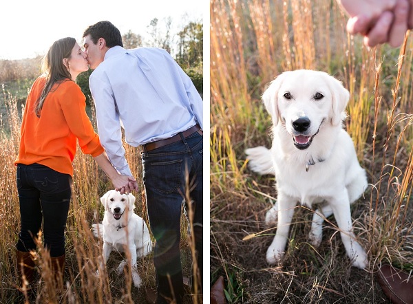 © Melissa Tuck Photography | Daily Dog Tag | Engagement-photos-with-puppy, DC-area-photography