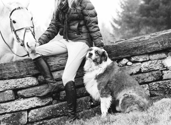 © Kirstie Marie Photography | Daily Dog Tag | Lifestyle-Pet-Photography