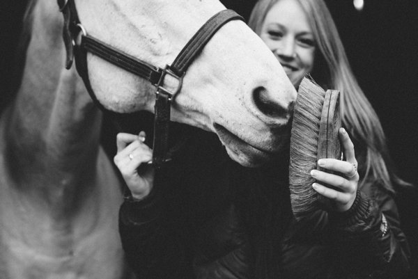 © Kirstie Marie Photography | Daily Dog Tag | Digital-and-Film-Pet-Photographer, equine photography