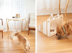 DIY Treat Dispenser - Daily Dog Tag