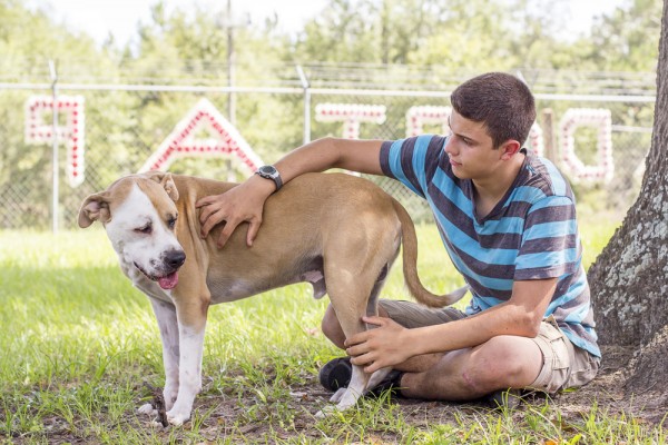 © Pavlina Sanborn Photography | Rescue Hank From Clay County Animal Care & Control