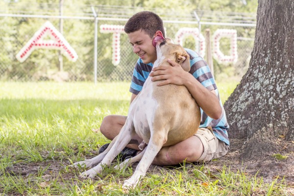 © Pavlina Sanborn Photography | Rescue Hank From Clay County Animal Care & Control