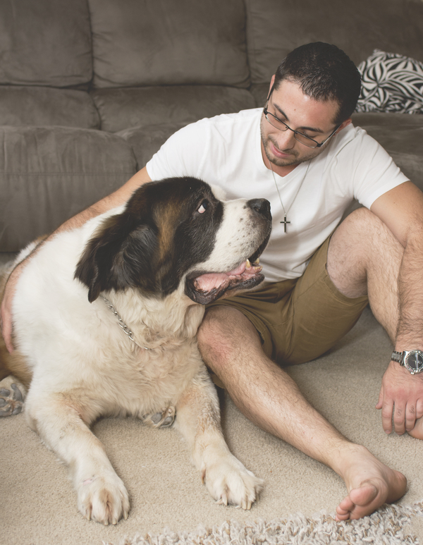 © Brianna Noelle Photography | Daily Dog Tag | man's-best-friend, on-location-pet-photography, St-Bernard
