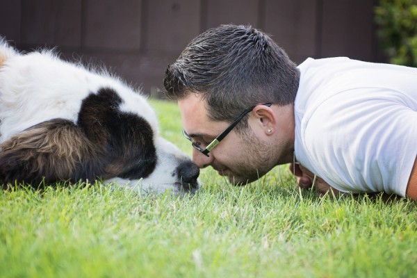 © Brianna Noelle Photography | Daily Dog Tag | man's-best-friend, nose-to-nose, St-Bernard