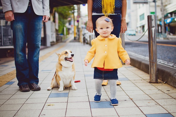 © Oeil Photography | Daily Dog Tag | Adorable-toddler-and-Corgi