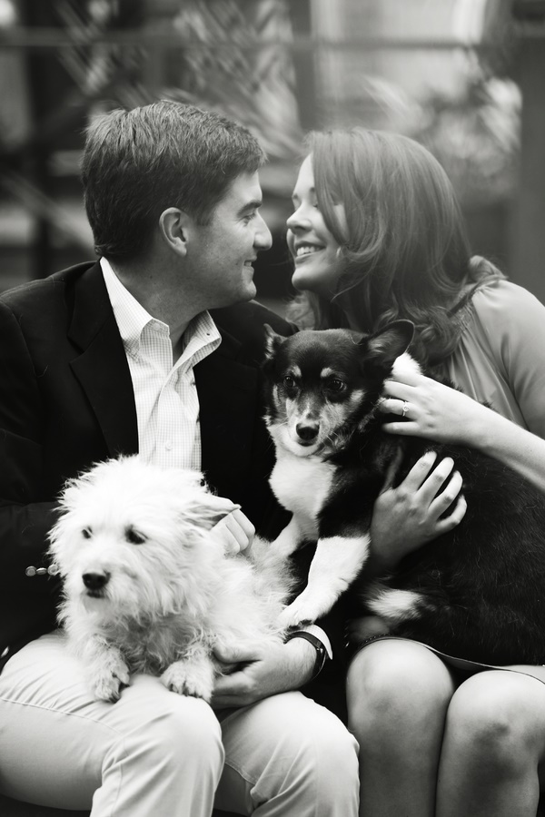 © Lindsay Colette Photography  | Daily Dog Tag | engagement-portrait-with-Corgi-and Westie