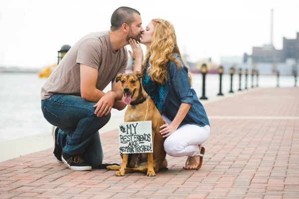 © Beth T Photography | Daily Dog Tag | Dog holding Save-the-Date-sign, engagement photos