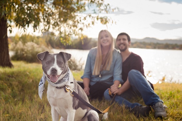 © Denver Paws Photography |Denver-photography-engagement-dog-family-sloans-lake-pets-1