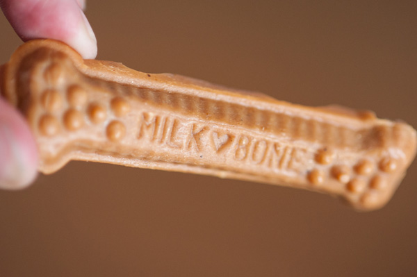 © Alice G Patterson Photography  | Syracuse-commercial-product-photography, Daily Dog Tag- Pet Smart Milkbone Chews