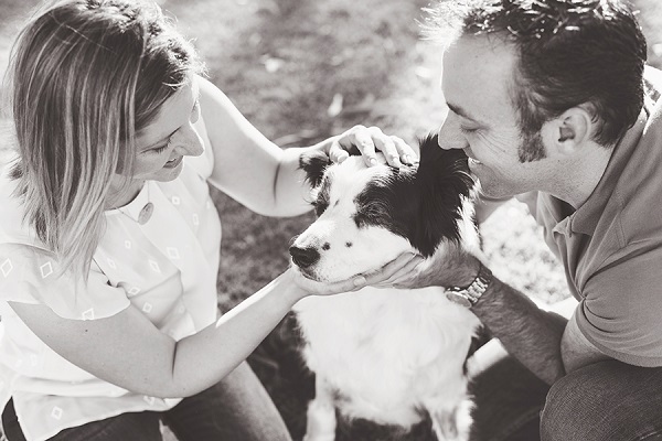 © 100 Loyal Faces Photography |senior-Border-Collie, Perth-Pet-Photography, dog-family-on-location-portraits