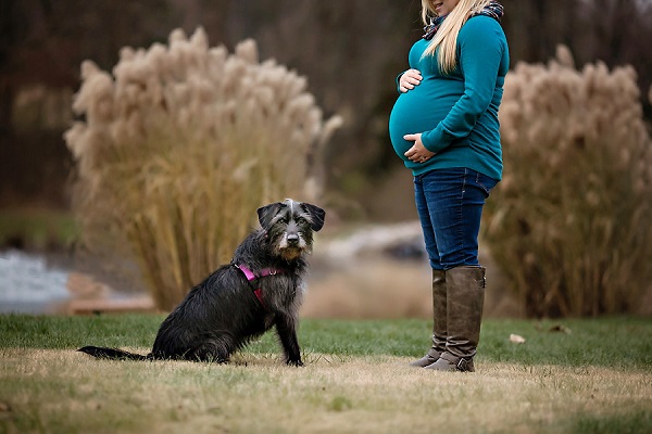 © April Ziegler Photography | medium-shaggy-dog, gorgeous pictures of pregnant woman and dog