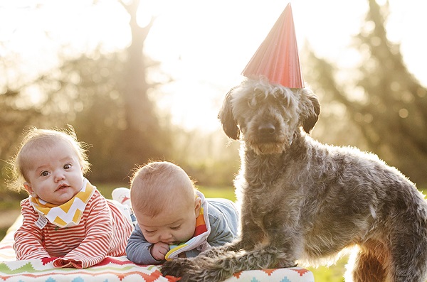 © Goblin Child | celebrating-dog-anniversary, pawty for dog
