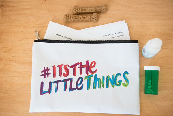 © Alice G Patterson Photography |#itsthelittlethings bag, 