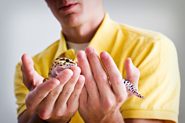 © Alice G Patterson Photography | Leopard Gecko. Syracuse studio pet photography, Syracuse-senior-portraits