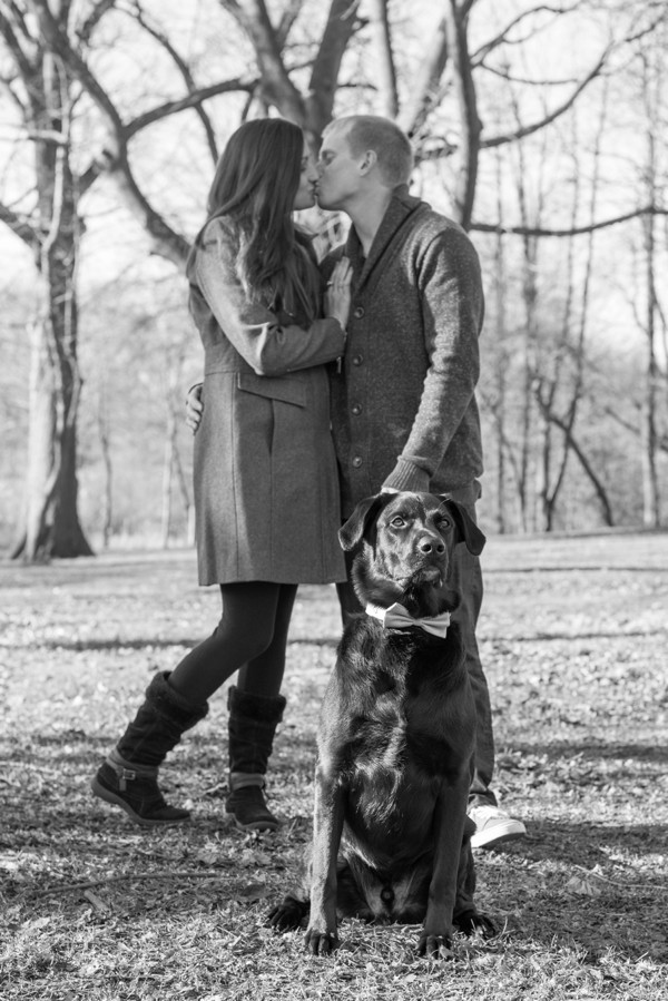 © Cassady K Photography | Fall-engagement-photos, Black-Lab, Handsome-dog, Westchester-engagement-portraits