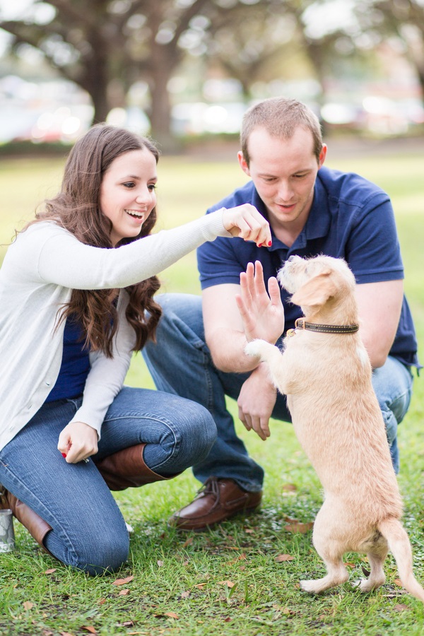 © Rad Red Creative | High-fives, mixed breed dog, ideas for engaement photos, View More: http://radred.pass.us/samuel--chelsea-eng