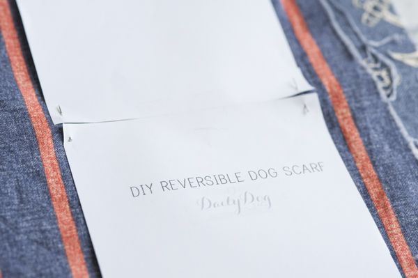 © Alice G Patterson Photography | DIY-Project-For-Dogs-Reversible-Scarves-thread-fabric.