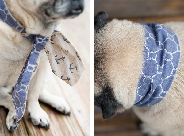 Daily Dog Tag- DIY Projects for Dog Lovers, DIY reversible scarves for dogs