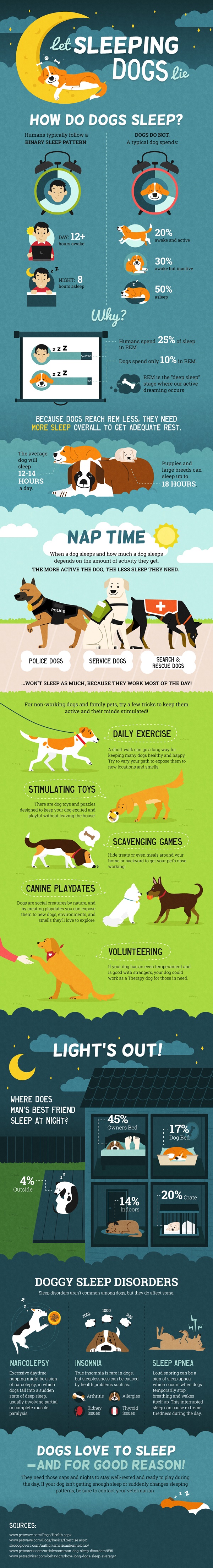 Dog Infographic: how much sleep do dogs need, let sleeping dogs lie infographic