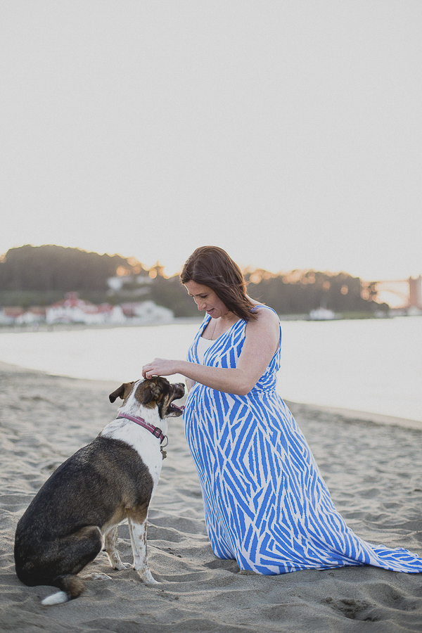 © Sweet Poppy Studios | maternity session with dog, Golden Gate Bridge, Crissy Field